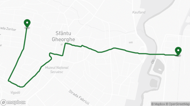 Traseul liniei 1 pe hartă: Gara CFR → Cap Linie Simeria