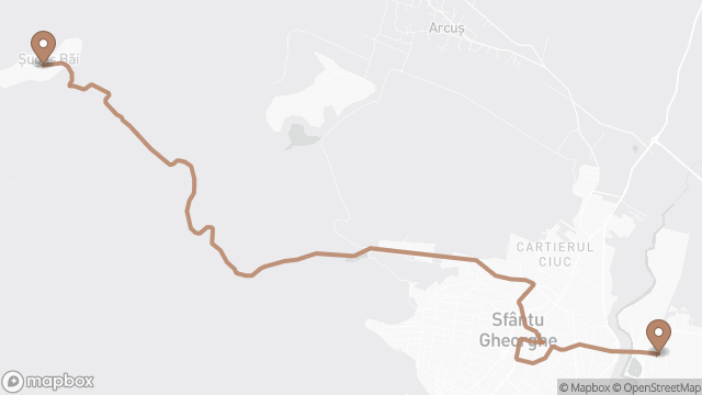 Traseul liniei 9 pe hartă: Gara CFR → Șugaș Băi